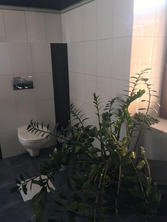 Penzion a pivnice Varna Velká Bystřice Esterno foto