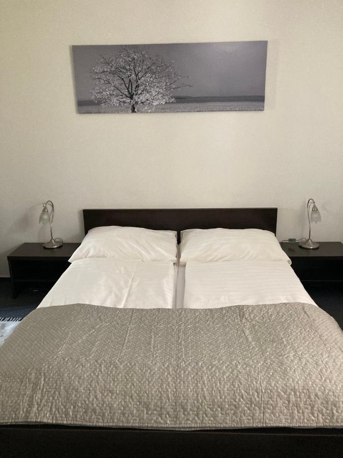 Penzion a pivnice Varna Velká Bystřice Esterno foto